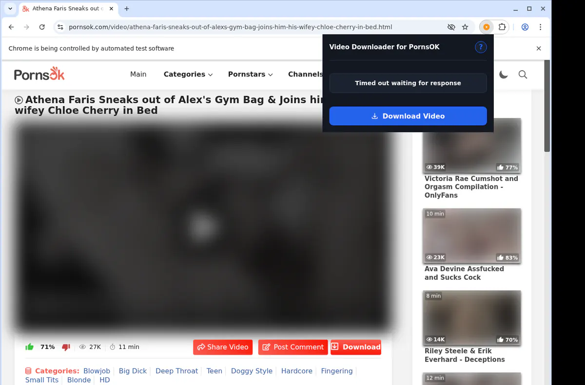 Pornsok Video Downloader screenshot 2