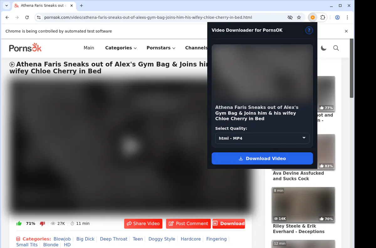 Pornsok Video Downloader screenshot 3