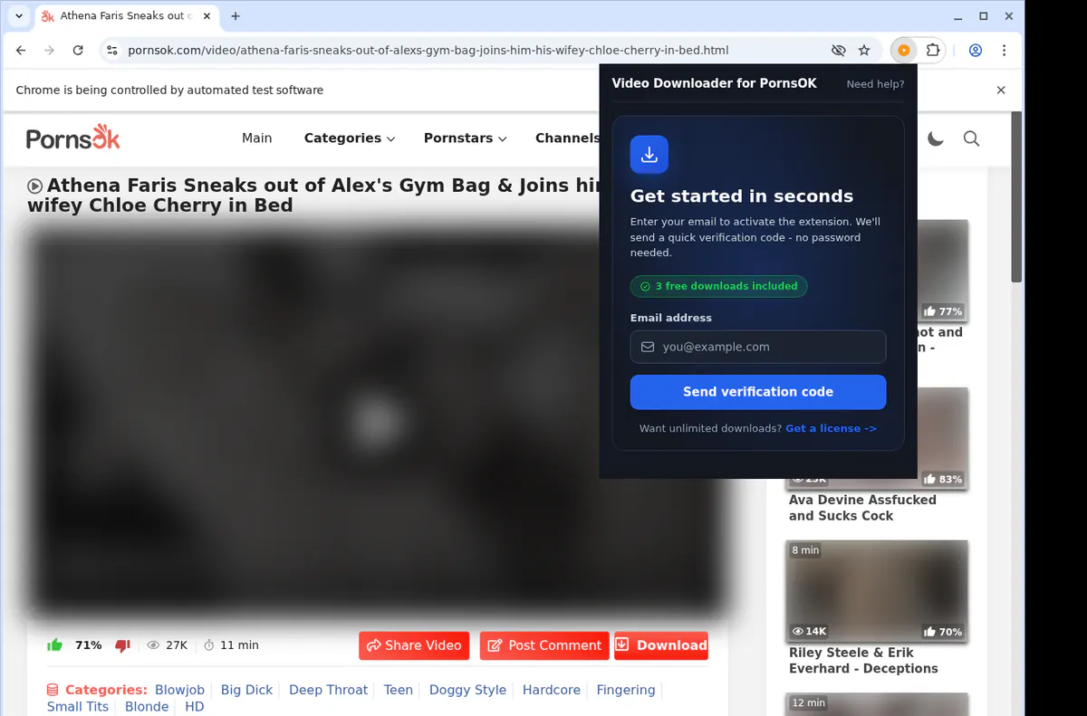 Pornsok Video Downloader screenshot 5